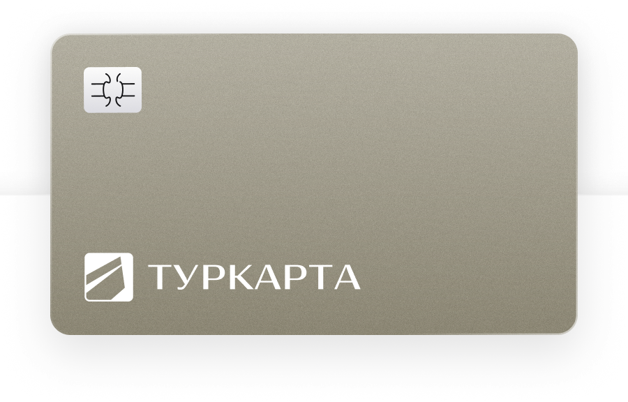 Карта VISA TRAVEL